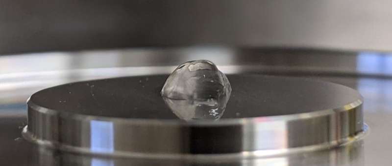 A dynamic matrix with DNA-encoded viscoelasticity to support the development of organoids and other biological tissues