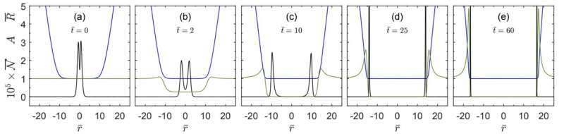 A model probing the connection between entangled particles and wormholes in general relativity