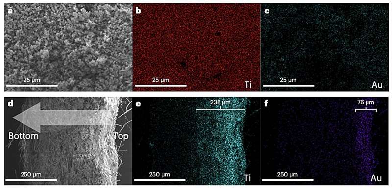 Team develops new gold nanocluster-rich titanium dioxide photocatalyst for the oxidative coupling of methane