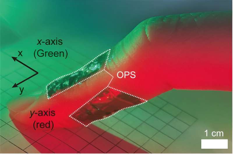 A reliable and wearable system to recognize finger movements in real-time