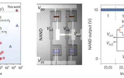A strategy to fabricate highly performing tin perovskite-based transistors