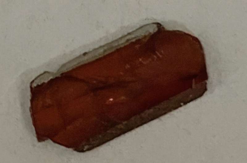 Researchers uncover unconventional charge carriers in a triangular-lattice Mott insulator