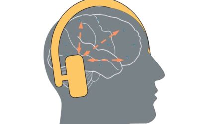 The brain gets its own broadband: Electro-quasistatic fields enable broadband communication for brain implants
