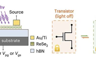 A new reconfigurable field-effect transistor and memory device based on a 2D heterostructure