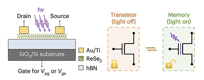 A new reconfigurable field-effect transistor and memory device based on a 2D heterostructure