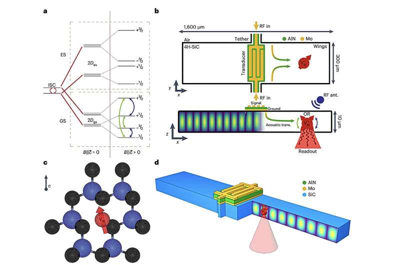 A strategy for the spin-acoustic control of silicon vacancies in a 4H silicon carbide-based bulk acoustic resonator