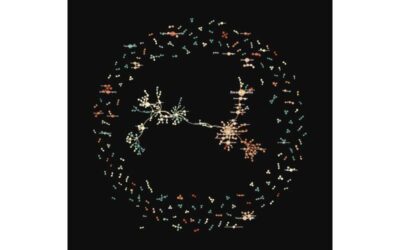 Exploring the connections between Nobel laureates using network science