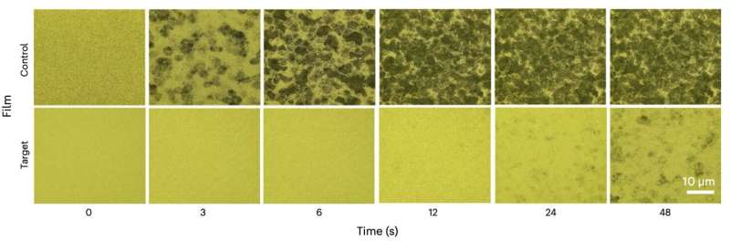 Highly performing metal halide perovskite solar cells fabricated in ambient air