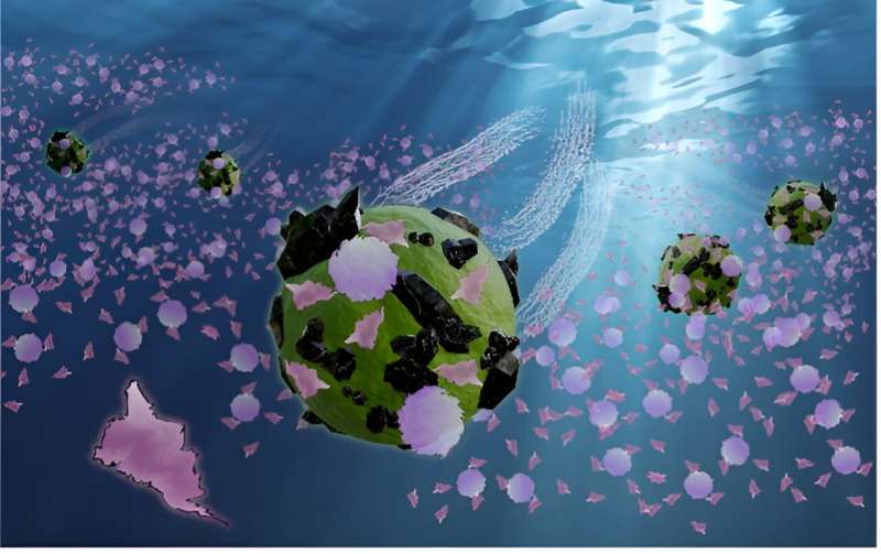 Biohybrid microrobots could remove micro- and nano-plastics from aquatic environments