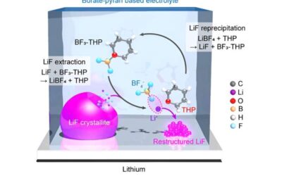 A borate-pyran-based electrolyte that minimizes corrosion in Li-metal batteries