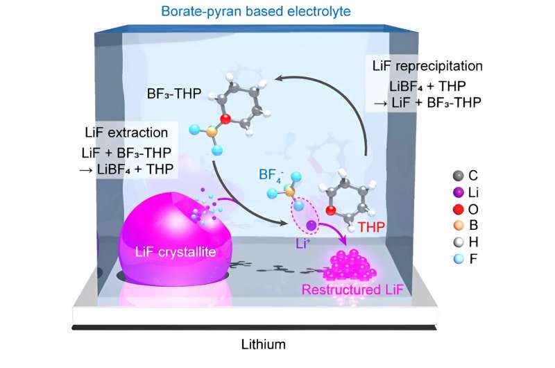 A borate-pyran-based electrolyte that minimizes corrosion in Li-metal batteries
