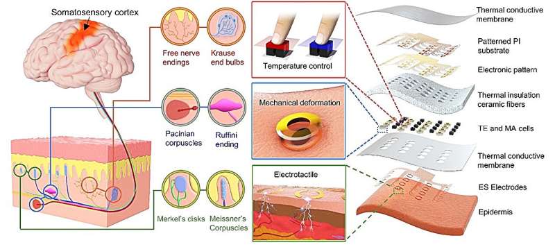 A skin-integrated multimodal haptic interface to produce immersive tactile experiences