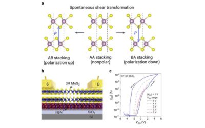 Team develops transistors with sliding ferroelectricity based on polarity-switchable molybdenum disulfide