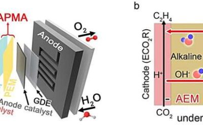 A pure water-fed membrane-electrode-assembly system for electrocatalytic reduction of carbon dioxide