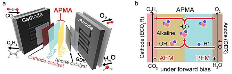 A pure water-fed membrane-electrode-assembly system for electrocatalytic reduction of carbon dioxide