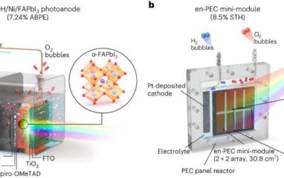 A scalable photoelectrochemical system for green hydrogen production
