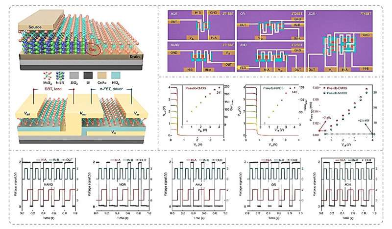 An architecture for sub-picowatt logic computing based on self-biased molybdenum disulfide transistors