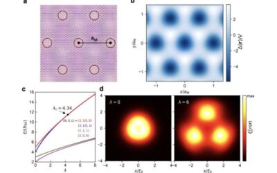 Exploring new physics arising from electron interactions in semiconductor moiré superlattices
