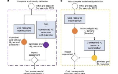 Exploring the impact of grid-connected hydrogen production on carbon emissions