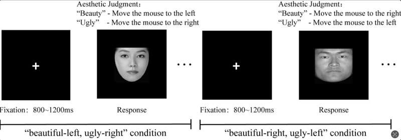 Exploring the link between aesthetic judgments and ‘screen swiping’ hand movements