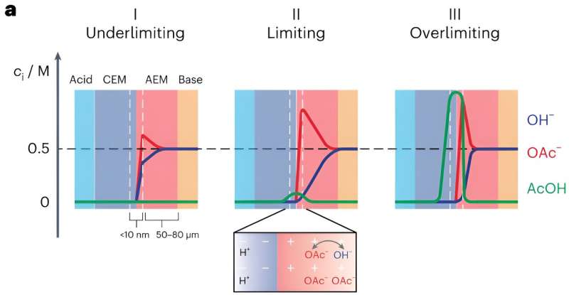 Model outlines how ionic blockades influence energy recovery in forward bias bipolar membranes
