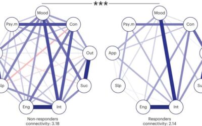 Network analysis highlights the key role of plasticity in the transition from depression to mental health
