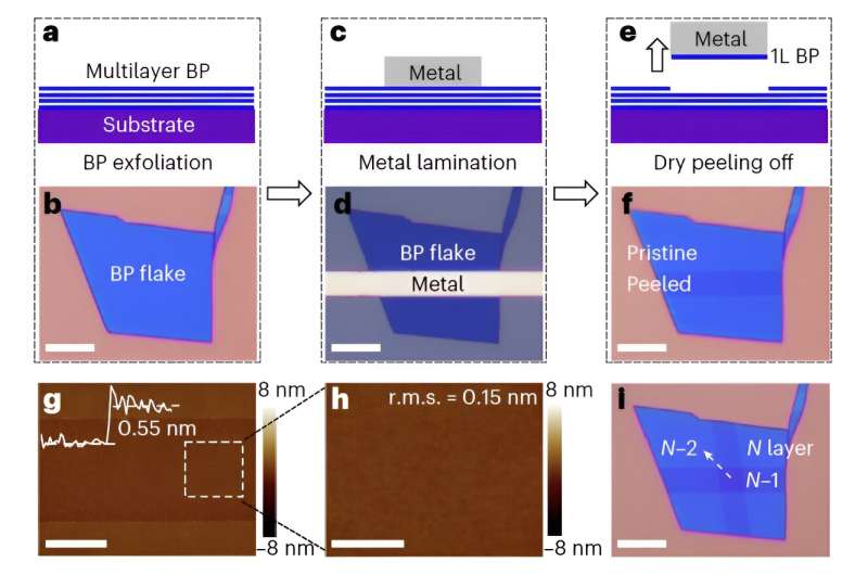 New transistors based on monolayer black phosphorus and germanium arsenide