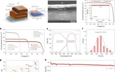 Reducing halide segregation in wide-bandgap mixed-halide perovskite solar cells using redox mediators