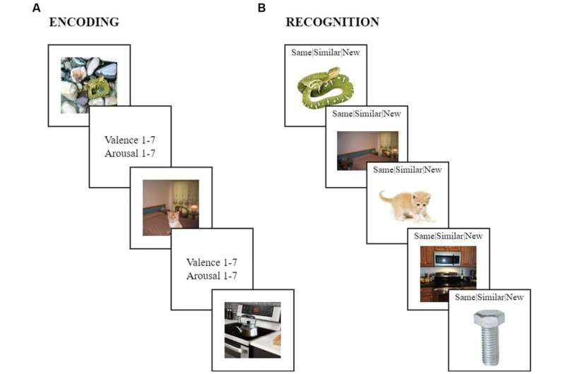 Study hints at an early shift towards a more positive attitude in middle-aged people