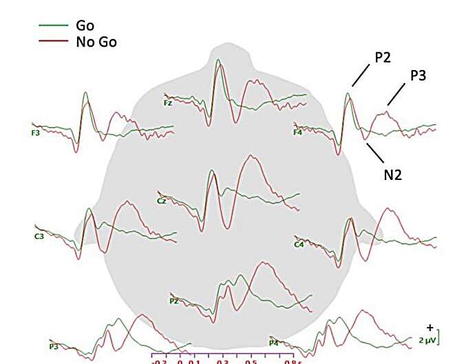 Study suggests that the neural correlates of mind-wandering can vary across different tasks