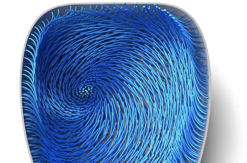 The modeling and simulation of self-organized intracellular twisters in the Drosophila oocyte