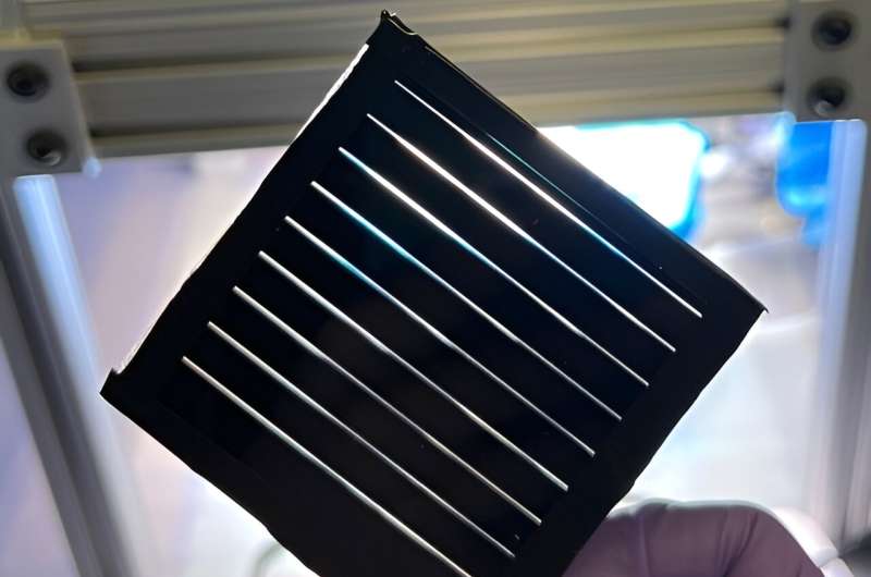 Using thermotropic liquid crystals to enhance the efficiency and stability of perovskite solar modules