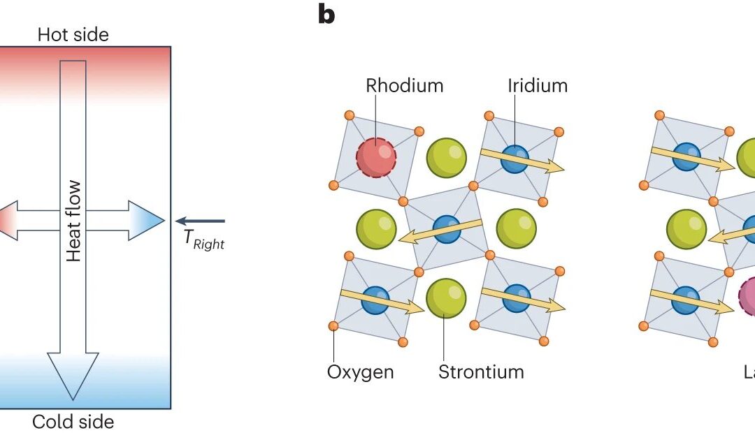 Evidence of phonon chirality from impurity scattering in the antiferromagnetic insulator strontium iridium oxide