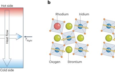 Evidence of phonon chirality from impurity scattering in the antiferromagnetic insulator strontium iridium oxide