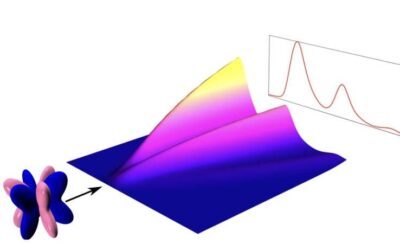 Study outlines spectroscopic signatures of fractionalization in octupolar quantum spin ice
