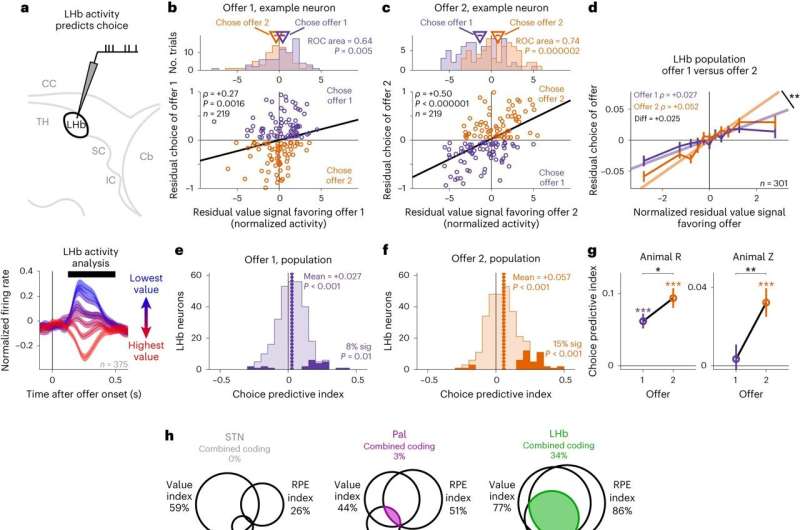 Study unveils the role of a neural substrate in the lateral habenula in value-based decision-making