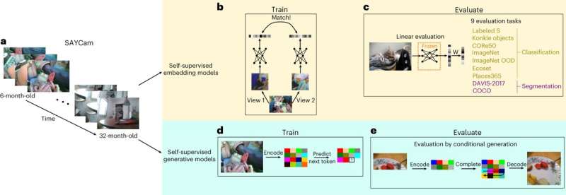 Training artificial neural networks to process images from a child’s perspective