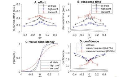 A minimal cognitive architecture reproduces control of human decision-making processes