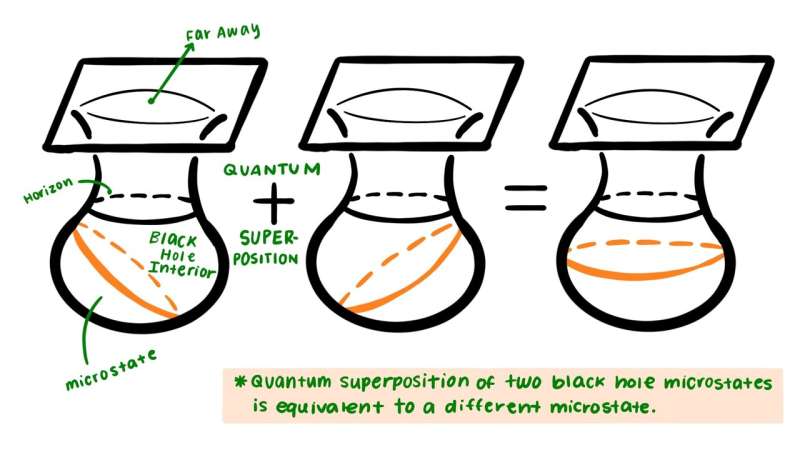 A model outlining the microscopic origin of black hole entropy