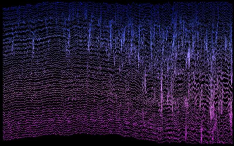 Exploring the origins of excitatory and inhibitory neuronal tuning in the postsubiculum