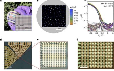 A new strategy for fabricating high-density vertical organic electrochemical transistor arrays