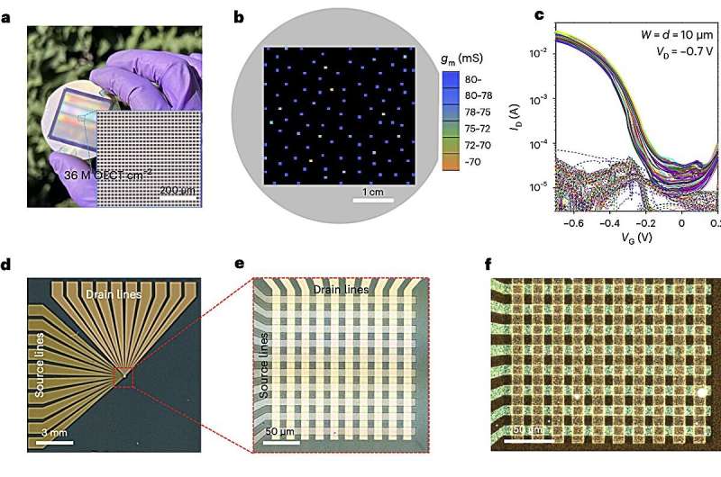 A new strategy for fabricating high-density vertical organic electrochemical transistor arrays