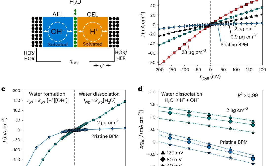 New insight about the working principles of bipolar membranes could guide future fuel cell design