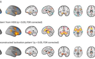 The neural signature of subjective disgust could apply to both sensory and socio-moral experiences