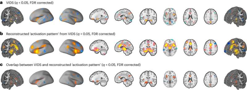 The neural signature of subjective disgust could apply to both sensory and socio-moral experiences