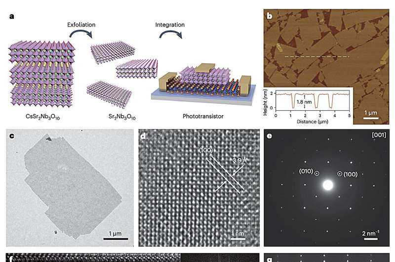 Using a 2D perovskite oxide as a photoactive high-κ gate dielectric