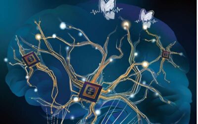 A new brain-inspired artificial dendritic neural circuit