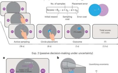 How the human hippocampus contributes to value-based decision-making under uncertainty