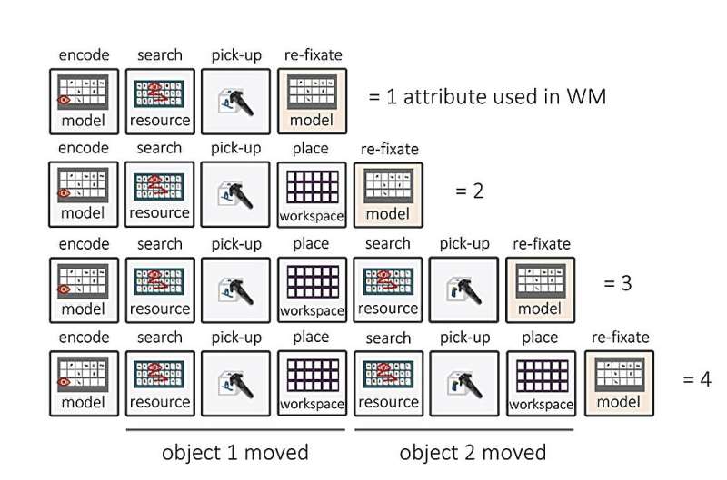 Probing the effects of visual distraction during natural behavior using VR technology