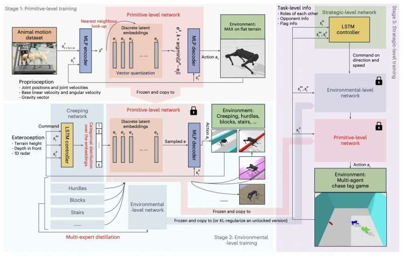 New framework enables animal-like agile movements in four-legged robots